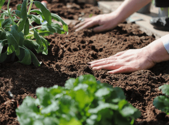 be-article-articleCategory-1652189c2f9682 - image 2