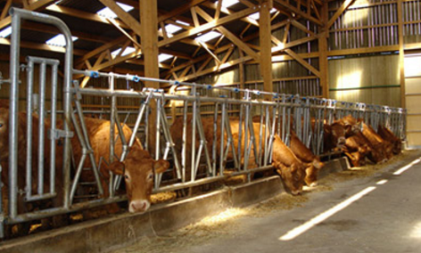 be-article-articleCategory-ef9a98594f5b23 - image 4